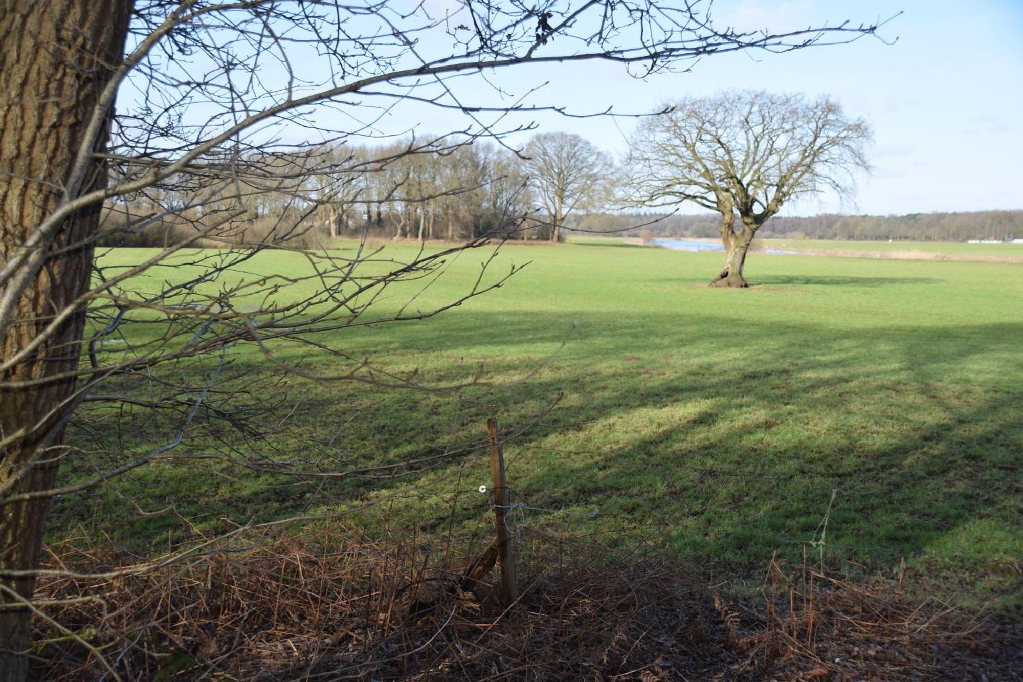 Vakantiehuis De Veldhoen Vrijgelegen Nabij De Rivier De Vecht Beerze Exterior photo