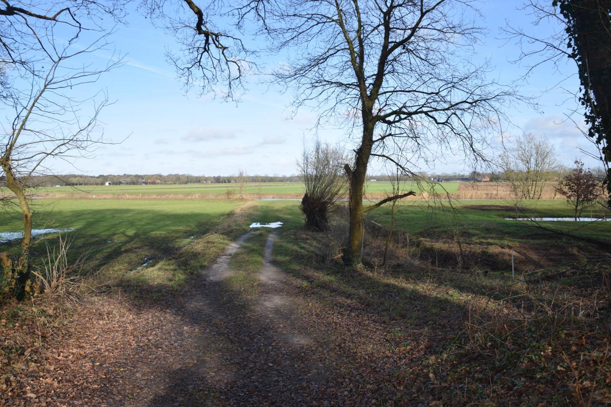 Vakantiehuis De Veldhoen Vrijgelegen Nabij De Rivier De Vecht Beerze Exterior photo